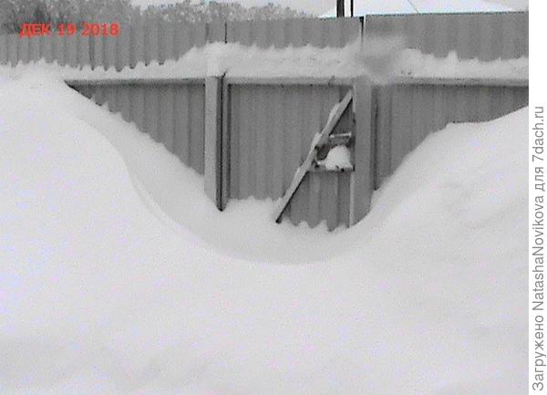 утречком хотели выйти из ограды((