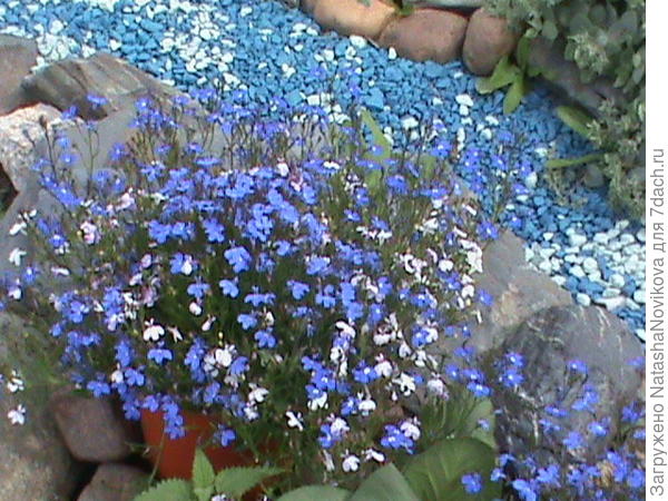 это уже 2015 год))