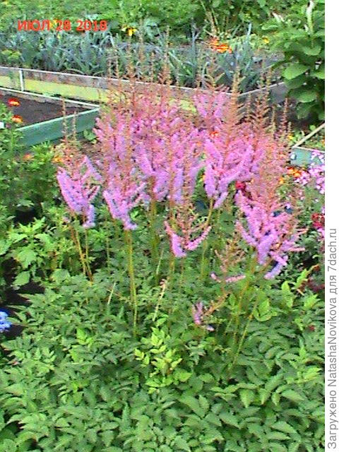 так и есть, см 60 точно