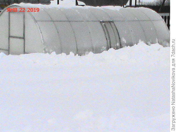 вот и вся зимняя сказка(( снег не успеваем скидывать с теплиц((