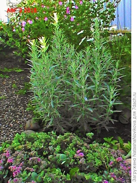 вот это место после сноса постройки