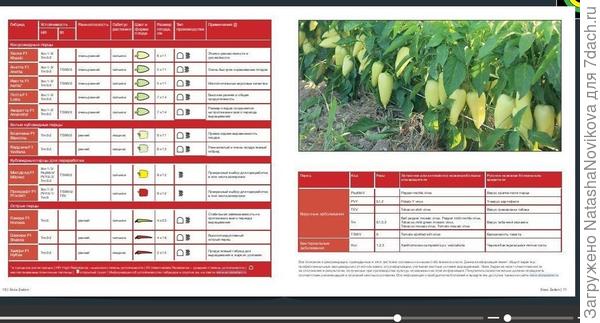 всё нормально будет, вырастим))