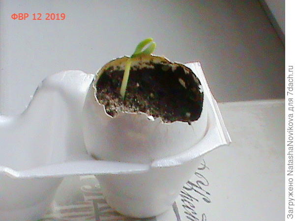 прошло 4 дня