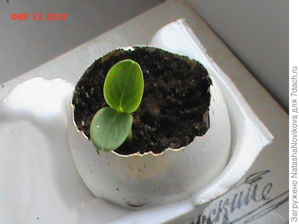 ну и куда лучше то