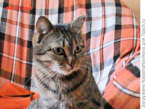 вот с этой будущей мамашкой надо думать чего делать(( в гараж её не поселишь, тем более вот-вот котятки появятся.