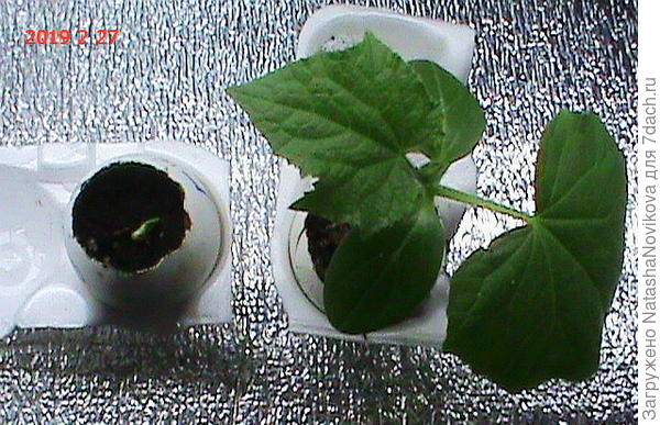 ну что же, будем дальше наблюдать)) но в Луну по-прежнему верую))