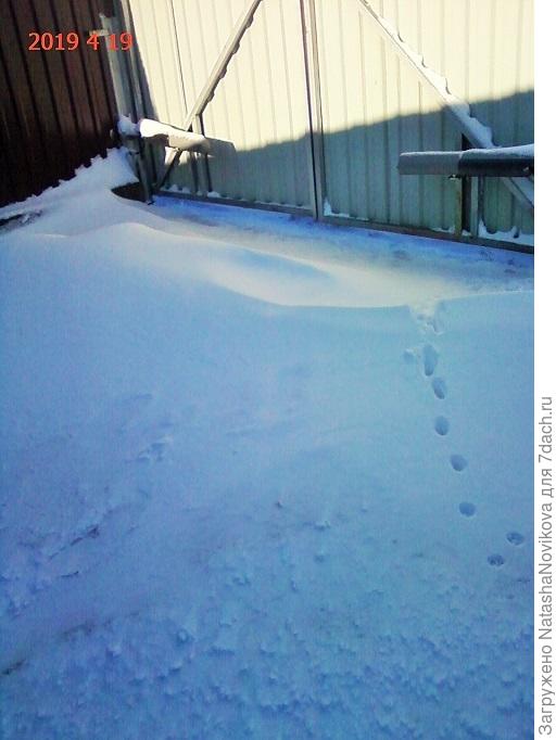 под воротами сугробы((