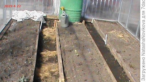 хорошие грядочки)))