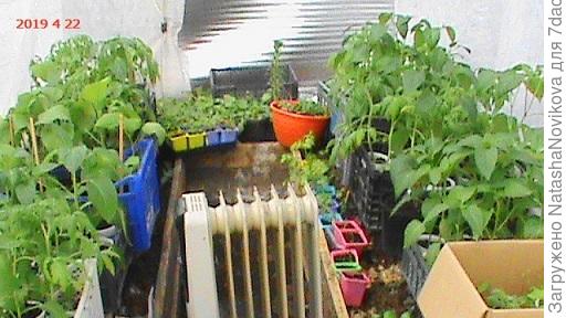 всё будет хорошо, но попозже, чем у продвинутых Иркутян.