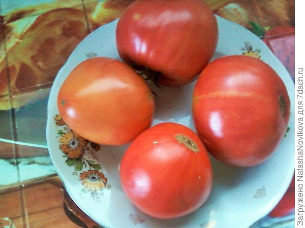 сегодня срезала, красотки)) как же я люблю помидоры, в любом случае, как же я соскучилась по своим, домашним))