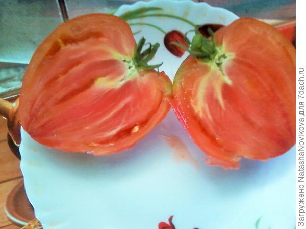 &quot;севрюга&quot; в разрезе, хоть и не рыба, но хорошА))