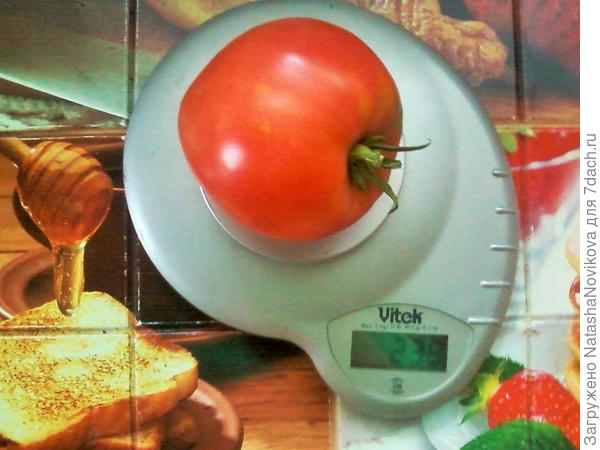 она же на весах