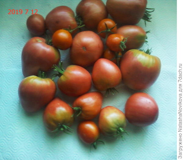 сдадкие, сочные