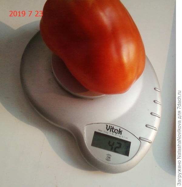 нормально такой вес