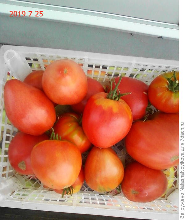 и радовать хозяйку))