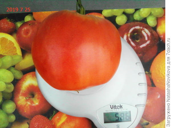 и набирать вес