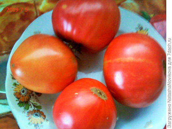 нет, первыми были эти, самые желанные, самые вкуснющие, самые.самые))