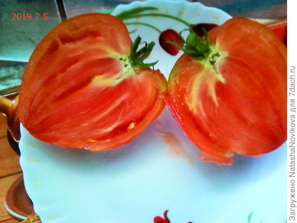 с тоненькой кожицей и почти без семян - севрюга