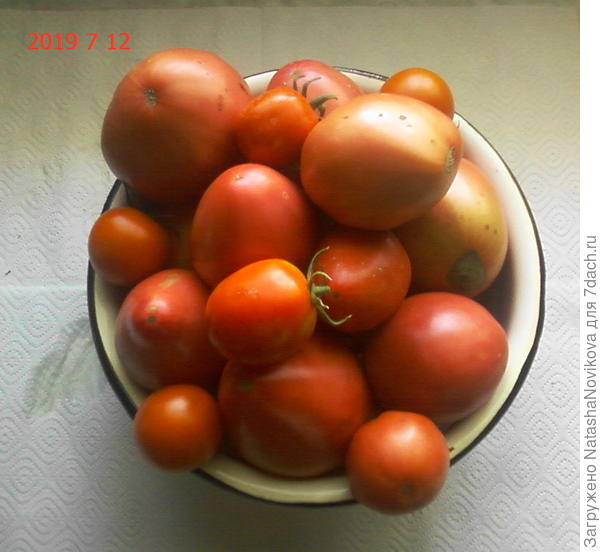 и это были первые