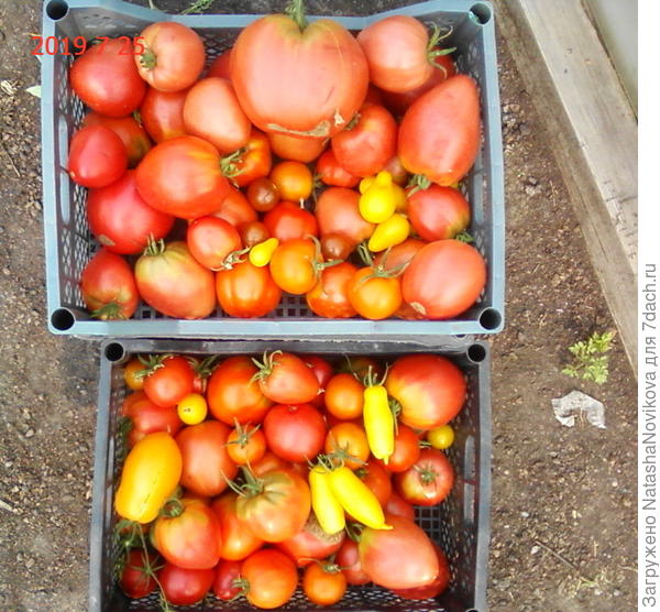 вообщем лето)))