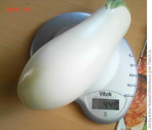 кабанчик на весах