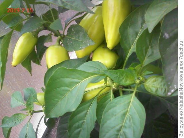 просто ломится