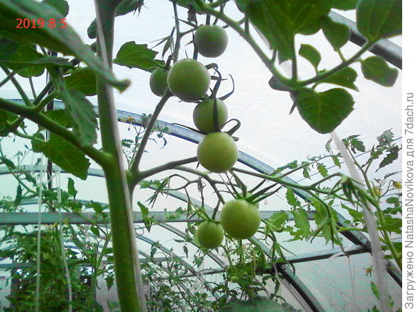 у нас сегодня на улице тьма, всё небо в свинцовых тучах