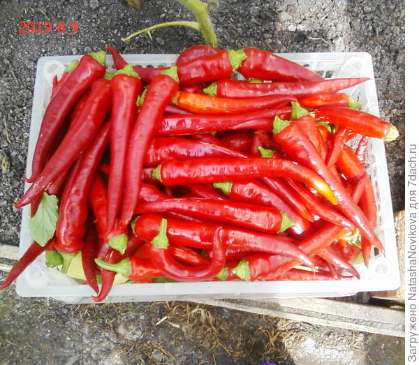 собралось))