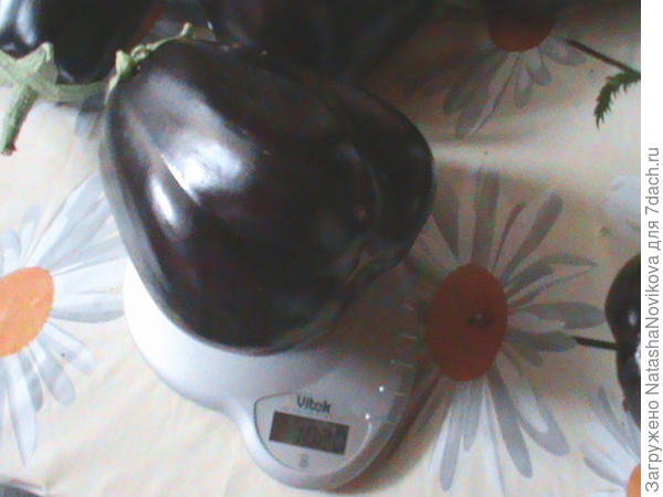 один кило вкусной &quot;ягоды&quot;