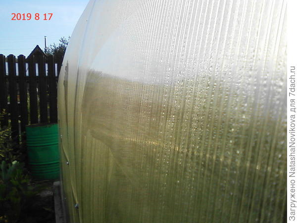 теплица в 6 утра