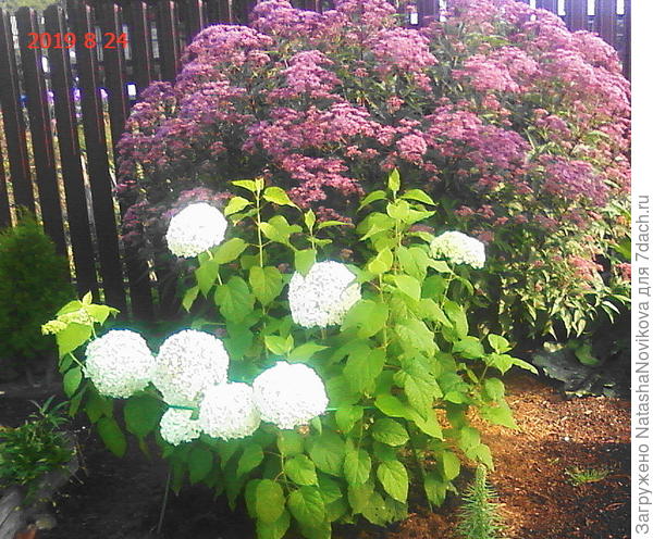 лето продолжается))