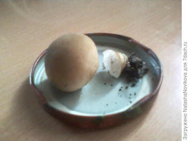 вот это же дождевик