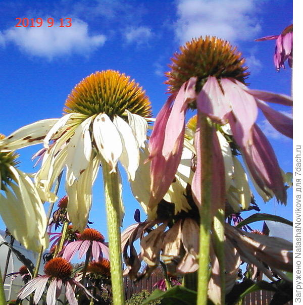 после пасмурного утра наступил ясный осенний день))