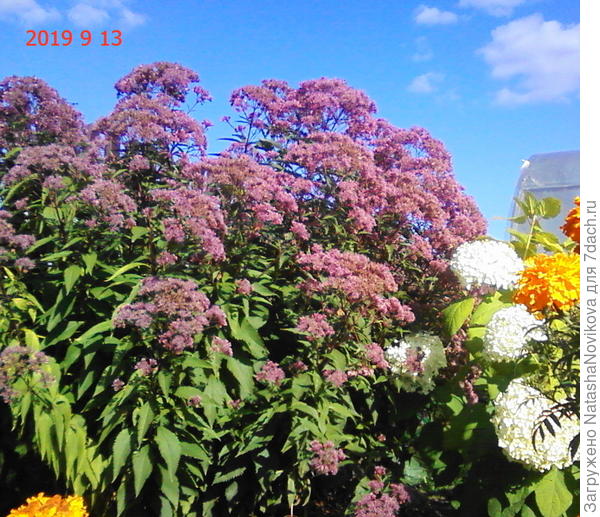 ну просто бальзам на душу))