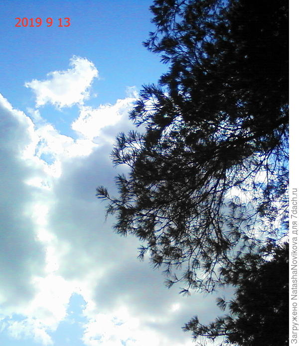 осень, люблю тебя за краски и солнечные проблески)