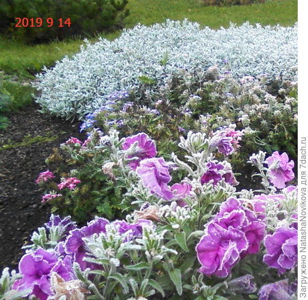 всё - настоящая осень