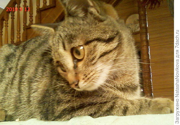 последнее фото((