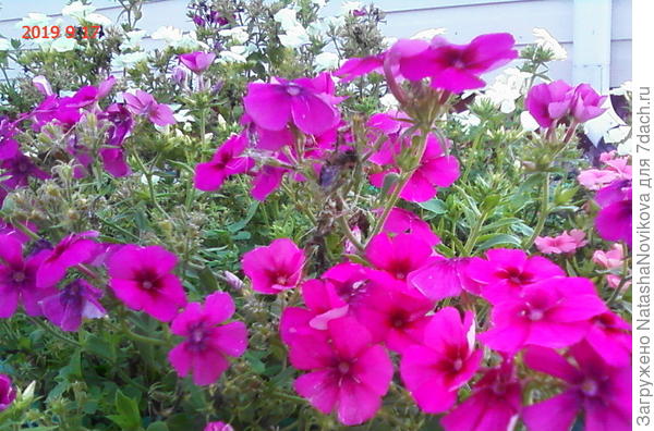 это мой поцелуй от сердца))