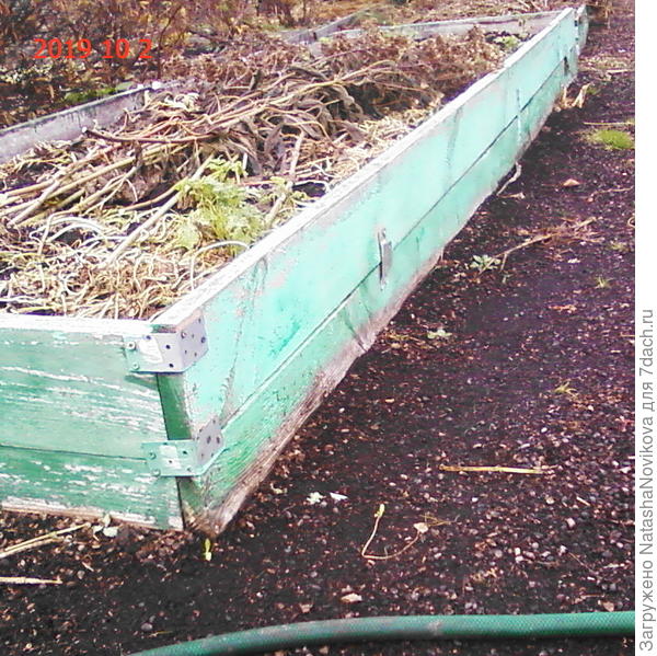 а это самая высокая, в ней нынче был собран замечательный урожай чесночка