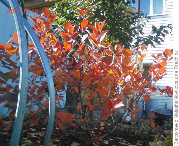 горит огнём