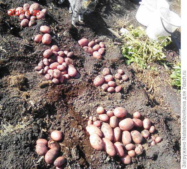 утро раннее