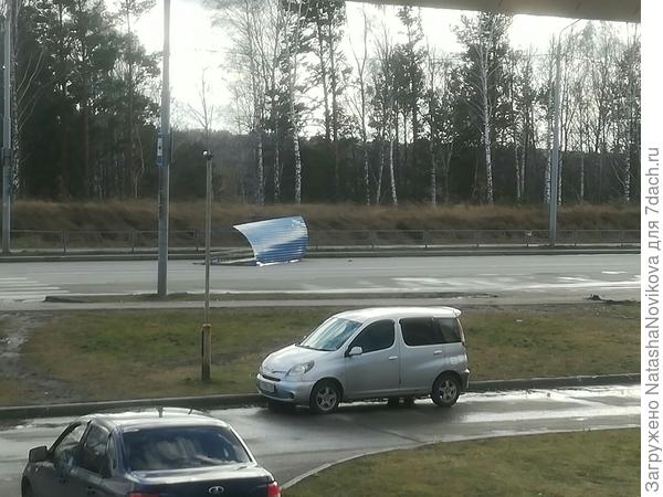 остановки летают по проезжей части