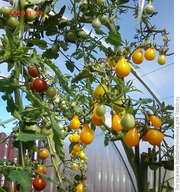 вполне себе здоровы