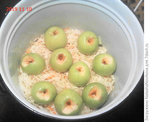 на капустные листья уложила тонкий слой шинкованной капусты с морковью и яблочки!! семеринко