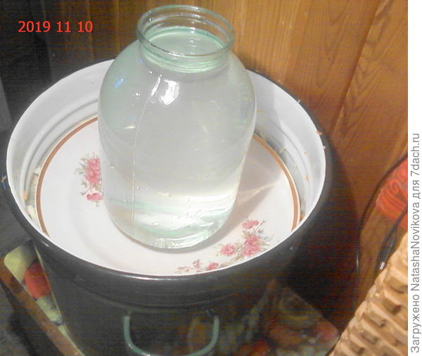 на тарелочку гнёт