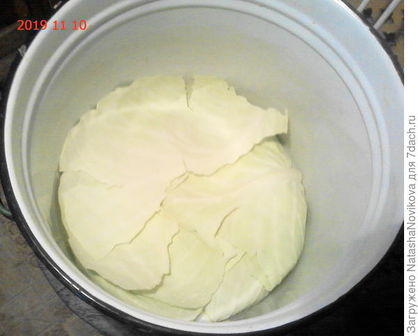 чистыми белыми листами покрываю дно кастрюли