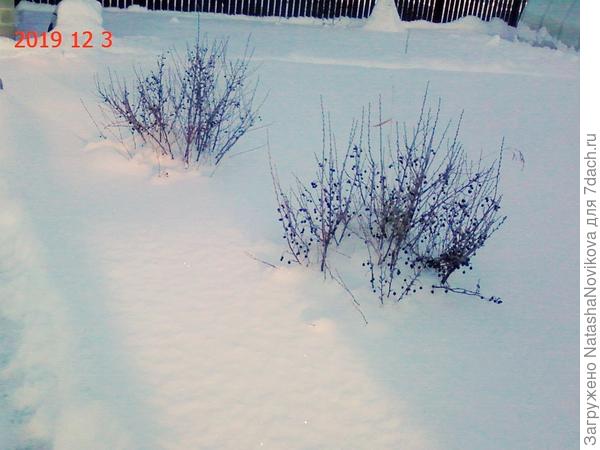 черное на белом, с теплиц уже два раза скидывали снег