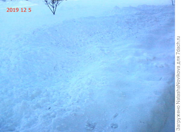 на пять метров от отмостки, спресованный((