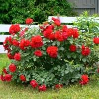 это именно то, что я хочу!