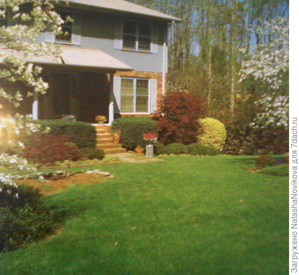 из книги "сад моей мечты"